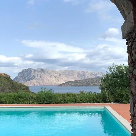 Appartamento Punta Est Quadrilocale Vista Mare Capo Coda Cavallo