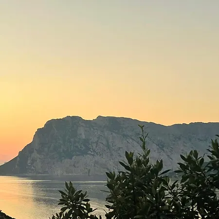 Appartamento Punta Est Quadrilocale Vista Mare