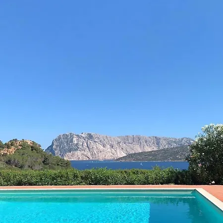 Punta Est Quadrilocale Vista Mare