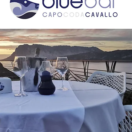 Appartamento Punta Est Quadrilocale Vista Mare Capo Coda Cavallo