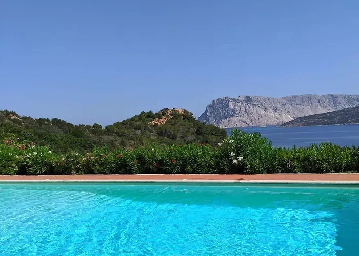 Appartamento Punta Est Quadrilocale Vista Mare