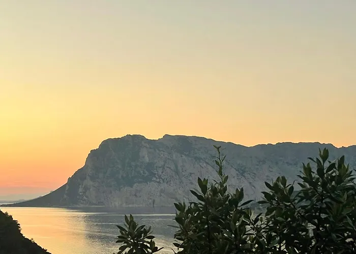 Appartamento Punta Est Quadrilocale Vista Mare
