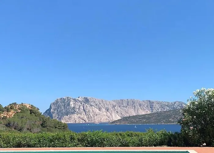Punta Est Quadrilocale Vista Mare
